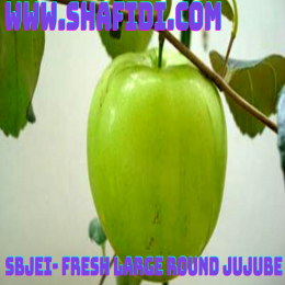 SBJEI- FRESH LARGE ROUND JUJUBE